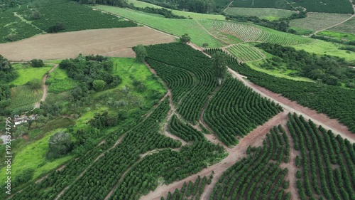 Fazenda de plantação de café em Minas Gerais, Brasil