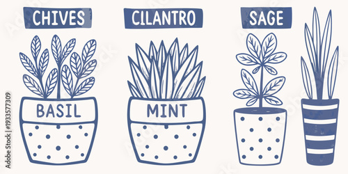 Illustration of potted herbs including chives cilantro sage basil and mint