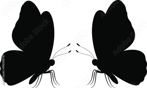 Butterfly silhouettes pair, black mirrored insect wings isolated on white background for decorative nature and tattoo design
