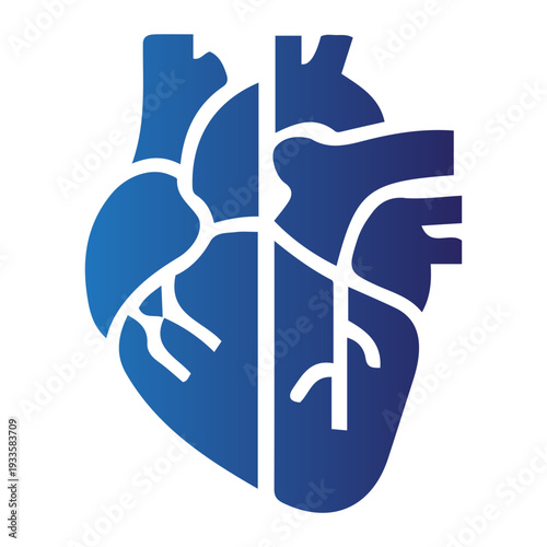 The Bionic Heart A Journey into Anatomical Innovation and Advanced Cardiovascular Prosthetics