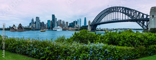 Photography Panoramic Sydney Harbor seascape with Bridge and blooming purple flowers in Australia