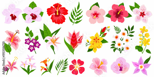 Colorful tropical flowers and foliage arranged in a vibrant collection