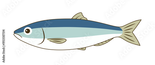 ニシン（鰊）のベクターイラスト - 春を告げる魚