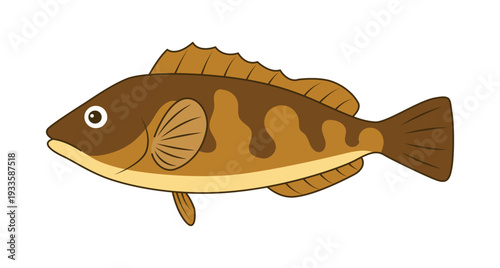 アイナメ（鮎並）のベクターイラスト - 高級魚・鮮魚素材