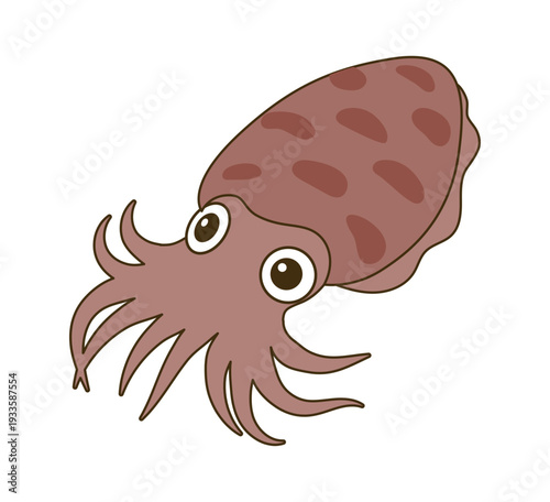 コウイカ（甲烏賊）のベクターイラスト - スミイカ