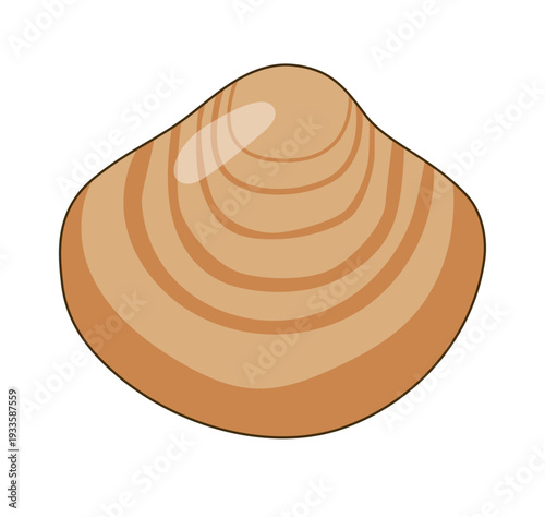 トリガイ（鳥貝）のベクターイラスト - 春の寿司ネタ・二枚貝