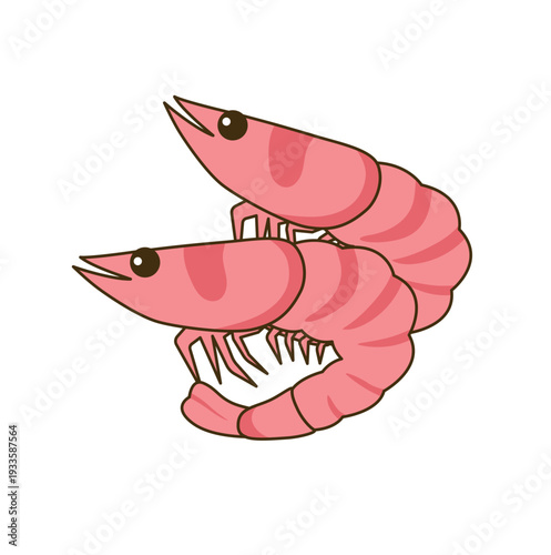 桜エビのベクターイラスト - 駿河湾の特産品・春の味覚