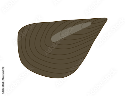 タイラギ（平貝）のベクターイラスト