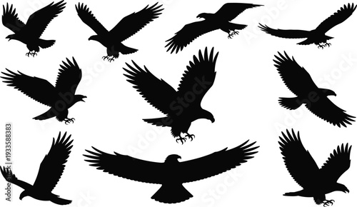 Eagle silhouettes collection, black flying birds of prey isolated on white background for wildlife tattoo and design