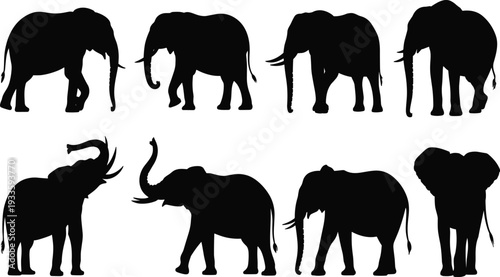 Elephant silhouettes collection, black elephant set in various poses isolated on white background for wildlife design and clipart use
