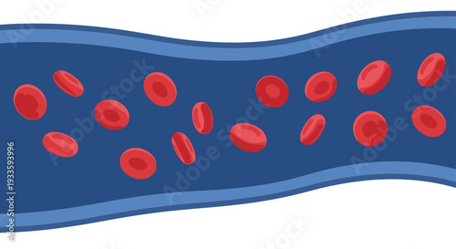 A single wavy blue blood vessel, with a lighter blue outer layer, shows numerous red blood cells flowing dynamically against a white background.