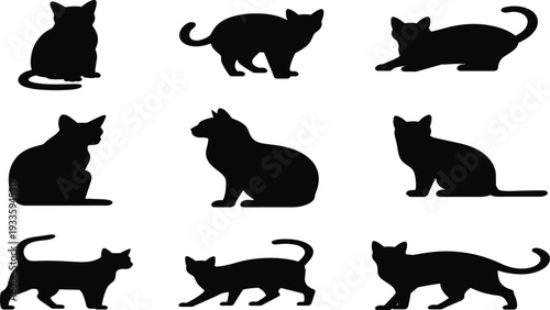 Gave me a title about this photo 'must have 20 word' for adobe stock with SEO maintain with comma