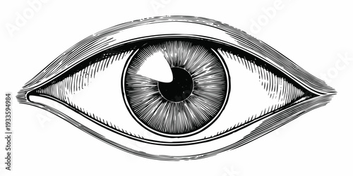 Detailed illustration of a human eye with intricate linework and shading