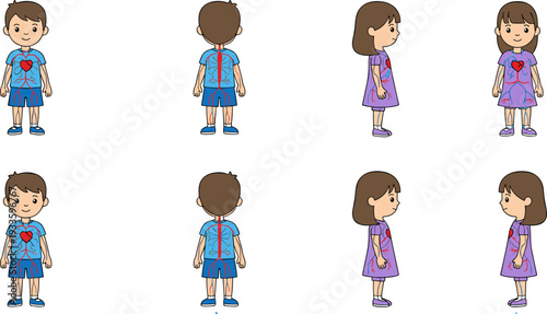 Children circulatory system vector illustration, boy girl anatomy diagram, human blood vessels educational medical, isolated white background