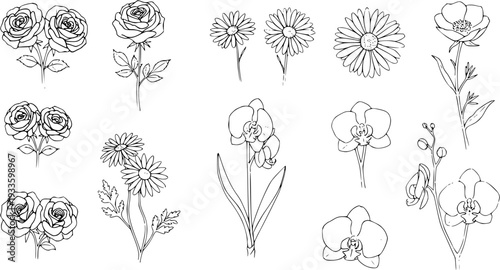 Floral Line Art Collection: Roses, Daisies, Orchids, and Anemone Outlines for Coloring Books and Design