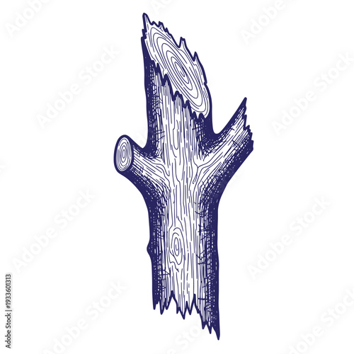 illustration of a tree stump with a cut top and branch  wood texture and grain visible