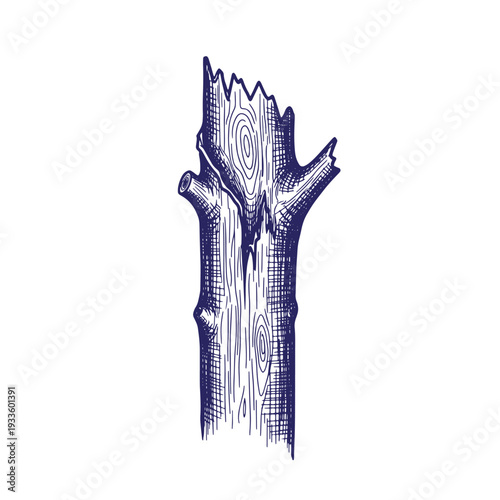 Illustration of a tree stump with a detailed wood grain texture and broken branches cut off  stump stands alone