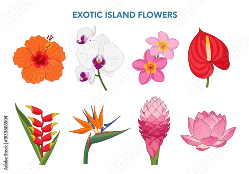 Collection of vibrant exotic island flowers, including hibiscus, orchid, plumeria, anthurium, heliconia, bird of paradise, ginger, and lotus, in a beautiful arrangement