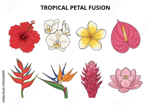 A vibrant collection of tropical flowers, including hibiscus, orchid, plumeria, and lotus, beautifully illustrated