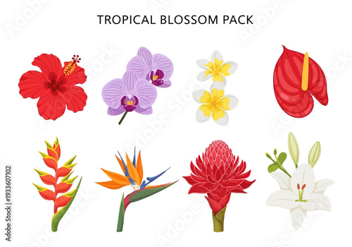 Vibrant Tropical Blossom Pack Featuring Exotic Flowers Such As Hibiscus, Orchid, Plumeria, Anthurium, Heliconia, Bird of Paradise, Torch Ginger, and Lily
