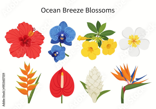 Collection of tropical exotic flowers from various species illustrated in a vibrant vector graphic art