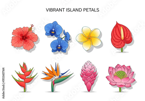 Collection of vibrant tropical island flower illustrations including hibiscus, orchids, plumeria, anthurium, heliconia, bird of paradise, ginger, and lotus