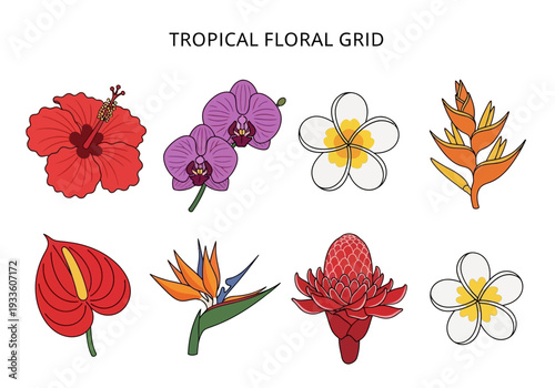 Vector tropical floral grid featuring various vibrant exotic flowers in a clean, modern illustration style