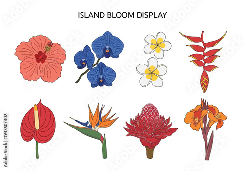 Collection of Colorful Tropical Flowers and Exotic Blooms, Ideal for Floral Designs and Artistic Projects