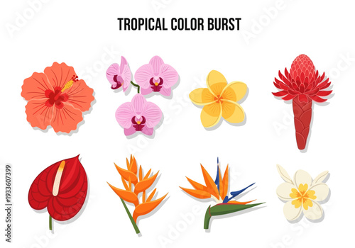 Vibrant Collection of Exotic Tropical Flowers with Detailed Petals and Stems, Perfect for Floral Designs