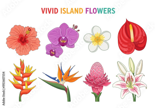 Vivid Island Flowers Collection A Tropical Botanical Illustration Featuring Hibiscus, Orchid, Plumeria, Anthurium, Bird of Paradise, Ginger, and Lily