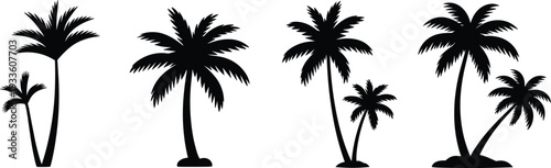 Silhouette of Tropical Palm Trees Collection Isolated on White Background, Black Exotic Island Nature Elements for Graphic Design