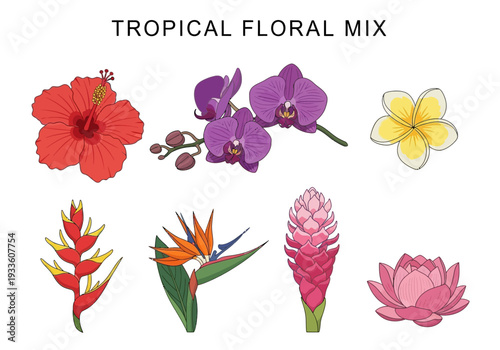 Tropical Floral Mix A Vibrant Collection of Exotic Flowers Including Hibiscus, Orchid, and Lotus