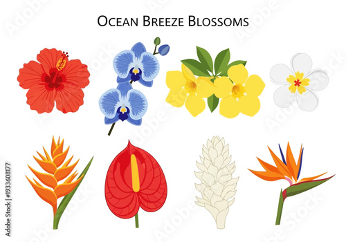 Vibrant collection of tropical flowers, including hibiscus, orchid, plumeria, bird of paradise, and anthurium, in a charming illustrated design
