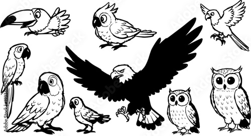 Bird Diversity: Black and White Cartoon Illustration of Toucan, Parrot, Eagle, Cockatoo  Owls