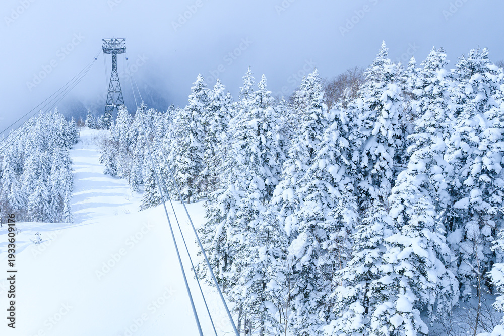 Obraz premium 岐阜県 雪山