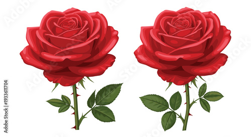 Two highly detailed vibrant red rose blooms with green leaves and thorny stems are prominently displayed against a pure white background.