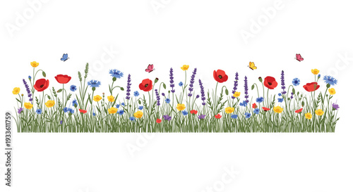 A horizontal strip of green grass is filled with red poppies, blue cornflowers, purple lavender, and yellow buttercups, with four small butterflies hovering.