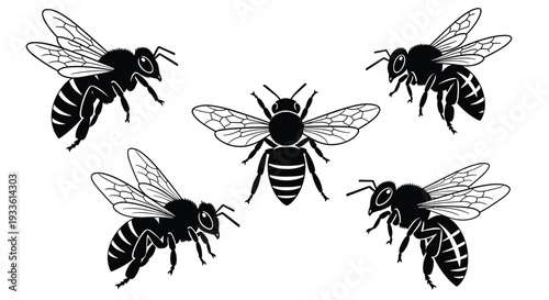 A collection of five graphic black and white bee illustrations are dynamically arranged against a clean, bright white backdrop.