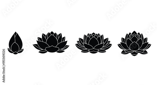 A horizontal sequence of four black lotus flower silhouettes displays various blooming stages against a clean white background.