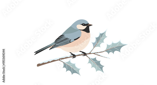 A small, colorful bird with blue and beige feathers perches on a snow-covered holly branch against a white background.