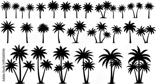 Silhouette of Palm Trees: Seamless Tropical Pattern