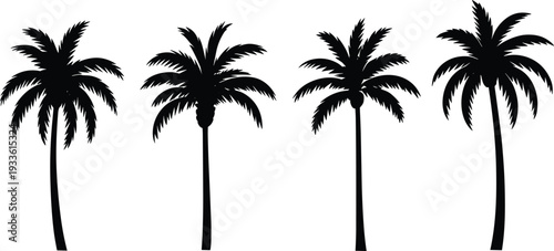Set of Palm Tree Silhouettes Isolated on White Background, Tropical Summer Beach Nature Illustration in Black and White Vector Style