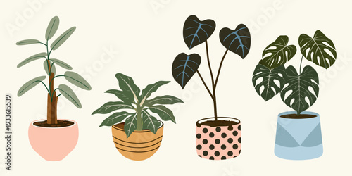 Stylized illustration of four potted houseplants with varied foliage