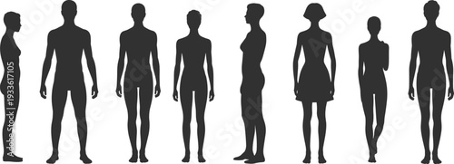 Silhouettes of men and women in various poses and perspectives on white background Keywords: silhouette, human, male, female