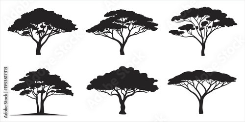 Six Black Silhouettes of Diverse Trees with Full Foliage nature bushy tree