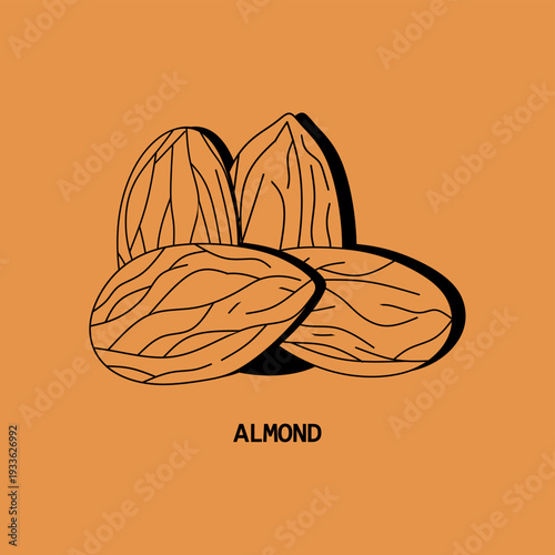 Almond Detail – Realistic Almond Nut Texture Close Up.Perfect for logos, icon packs, food labels, packaging, nutrition graphics, organic and vegan product branding.