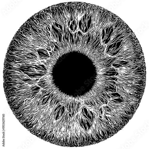 Intricate black and white illustration of a human iris with detailed patterns