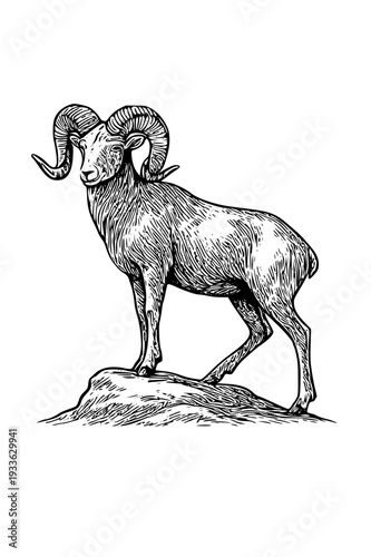 Majestic ram standing proudly on rocky outcrop