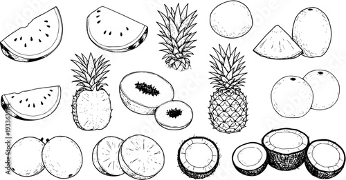 Hand-drawn Tropical Fruits Line Art Collection: Watermelon, Pineapple, Coconut, Orange, Papaya Sketches for Healthy Food Concepts