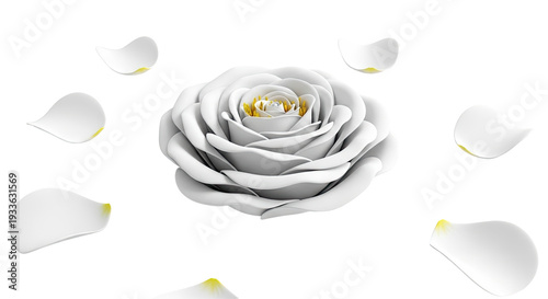 Elegant White Rose with Floating Petals